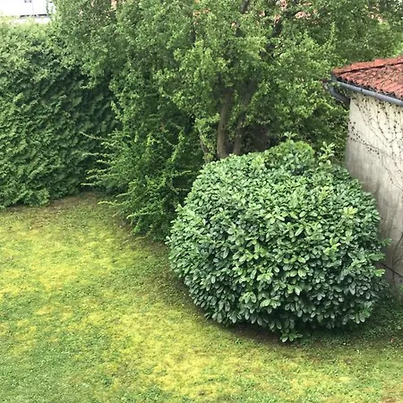 Franciska Apartman Appartamento Hévíz
